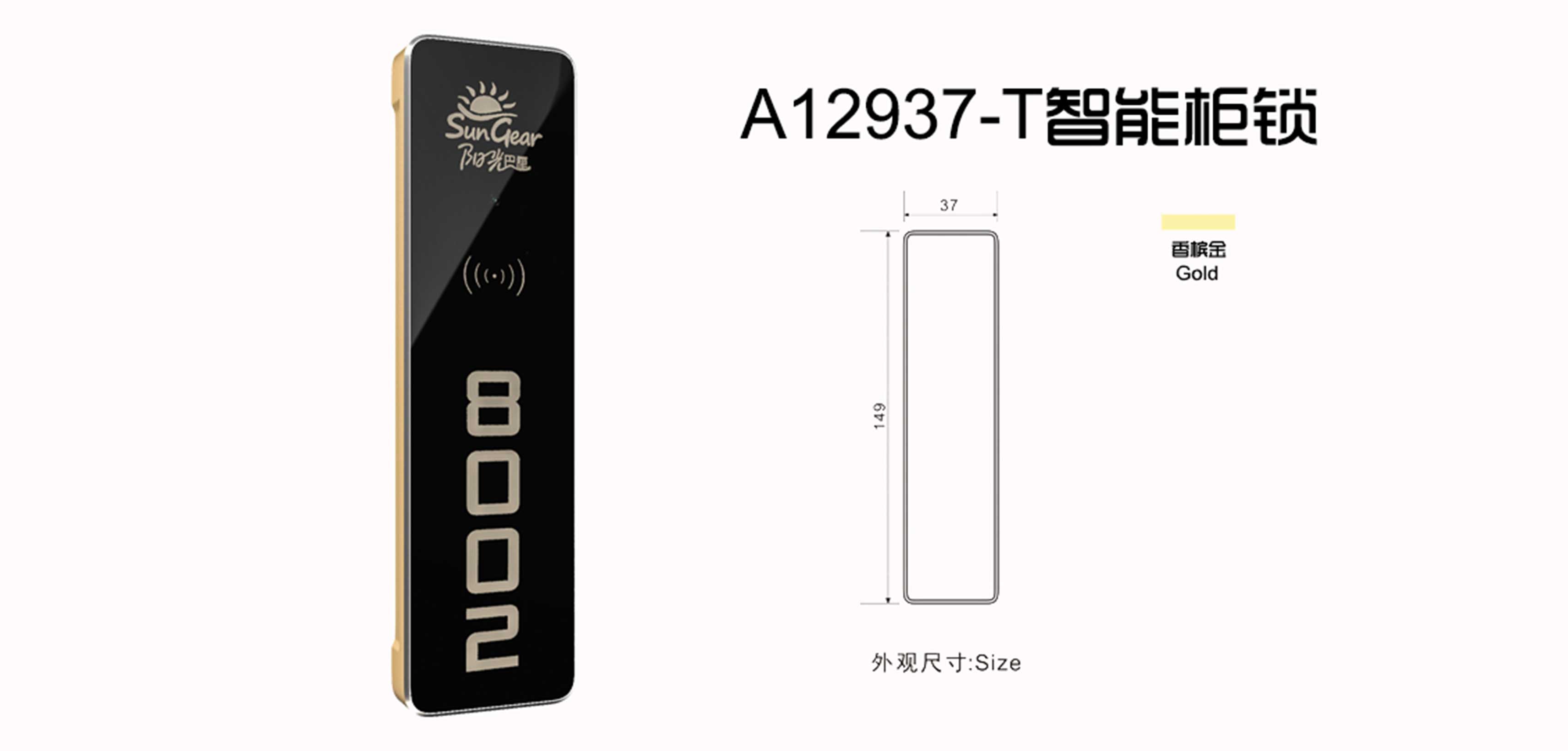 A12937